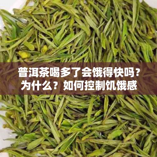 普洱茶喝多了会饿得快吗？为什么？如何控制饥饿感？