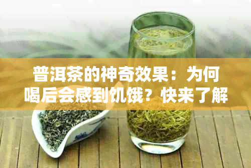 普洱茶的神奇效果：为何喝后会感到饥饿？快来了解原因！