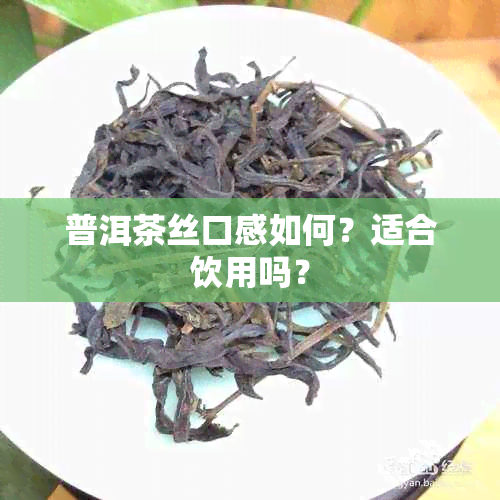 普洱茶丝口感如何？适合饮用吗？