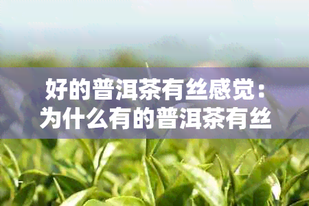 好的普洱茶有丝感觉：为什么有的普洱茶有丝感觉？这种感觉正常吗？