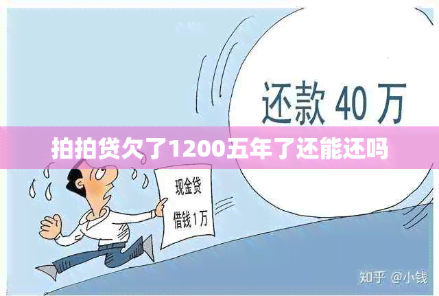 拍拍贷欠了1200五年了还能还吗