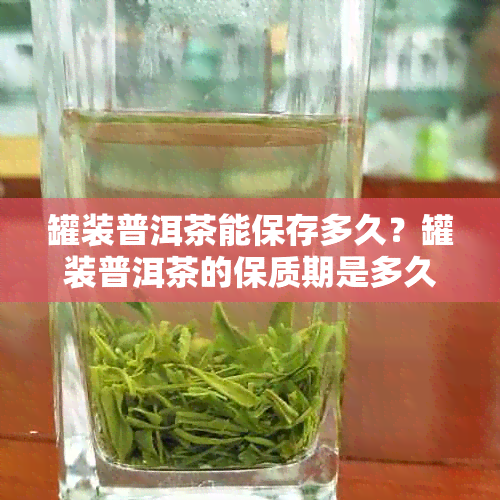 罐装普洱茶能保存多久？罐装普洱茶的保质期是多久？罐装普洱茶多少钱一盒？