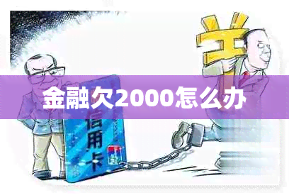 金融欠2000怎么办