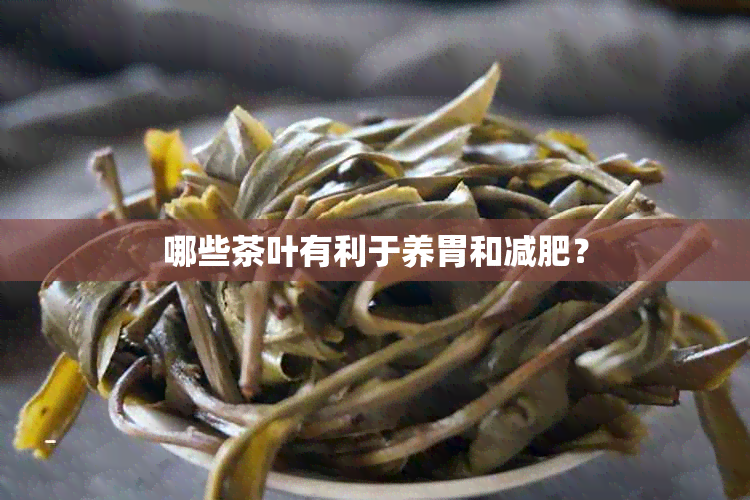 哪些茶叶有利于养胃和减肥？