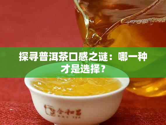 探寻普洱茶口感之谜：哪一种才是选择？