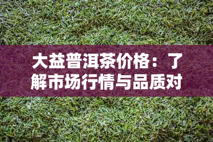 大益普洱茶价格：了解市场行情与品质对比分析