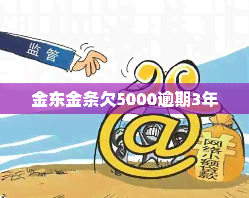 金东金条欠5000逾期3年