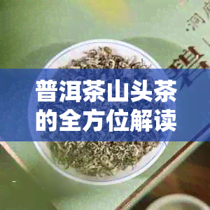 普洱茶山头茶的全方位解读：品种、产地、品质、功效与收藏价值