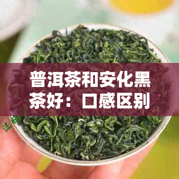 普洱茶和安化黑茶好：口感区别与选择建议