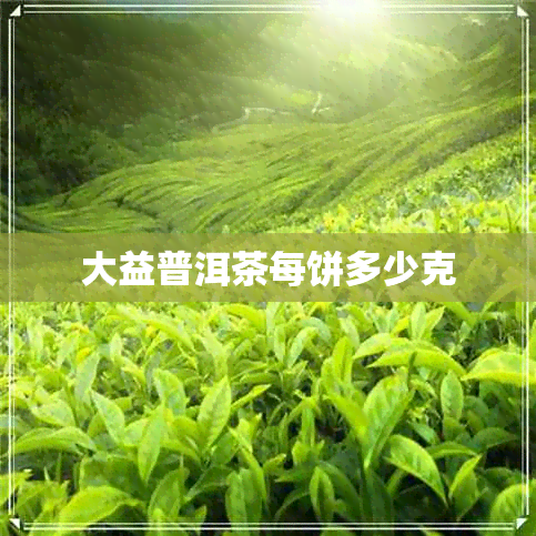 大益普洱茶每饼多少克