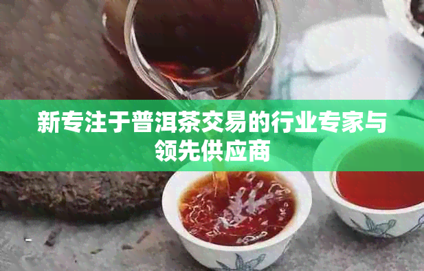 新专注于普洱茶交易的行业专家与领先供应商