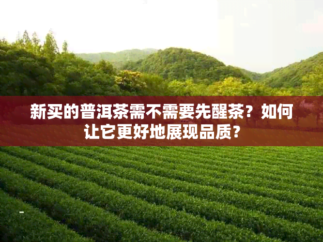 新买的普洱茶需不需要先醒茶？如何让它更好地展现品质？