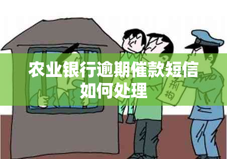 农业银行逾期催款短信如何处理