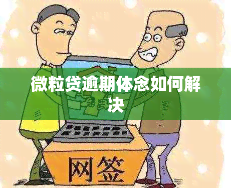 微粒贷逾期体念如何解决