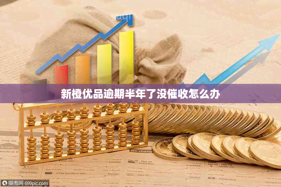 新橙优品逾期半年了没怎么办