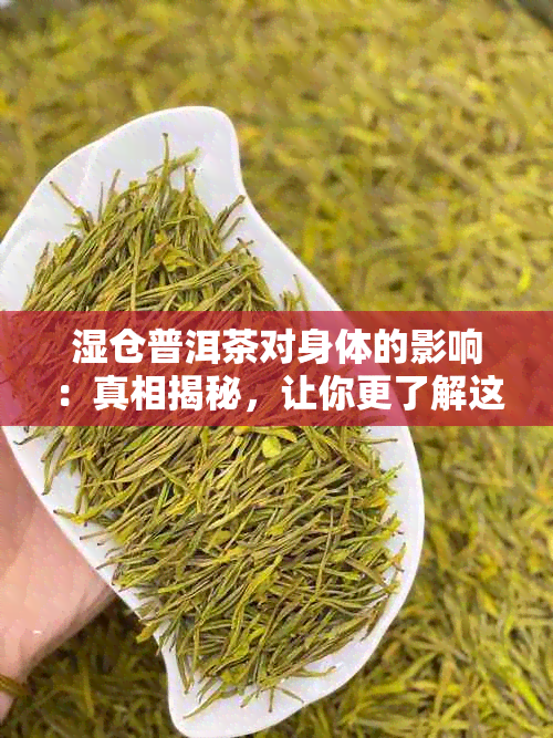 湿仓普洱茶对身体的影响：真相揭秘，让你更了解这一泡茶的安全性