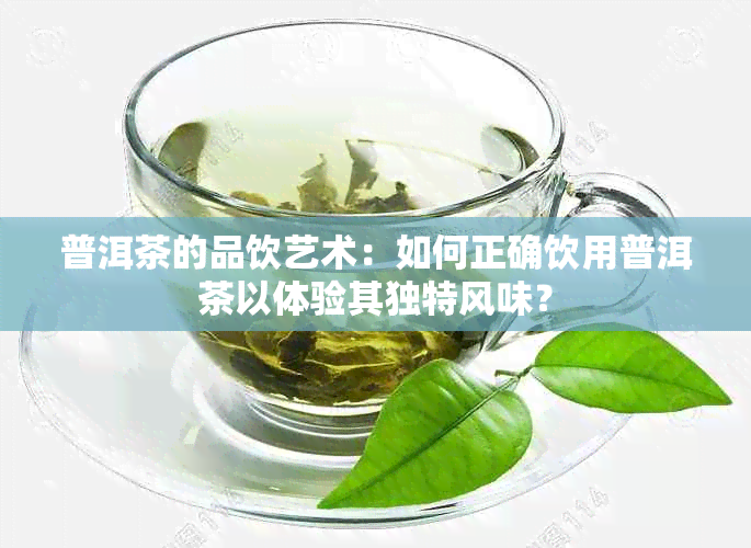 普洱茶的品饮艺术：如何正确饮用普洱茶以体验其独特风味？