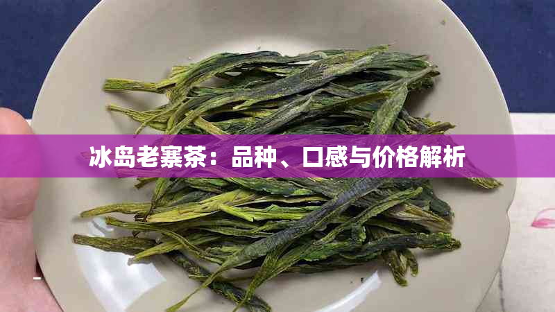 冰岛老寨茶：品种、口感与价格解析