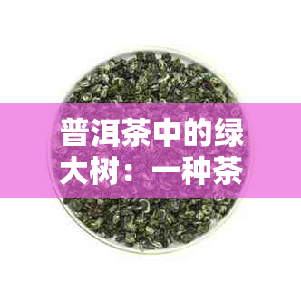 普洱茶中的绿大树：一种茶叶品种的解读与品鉴