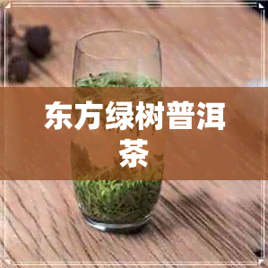 东方绿树普洱茶