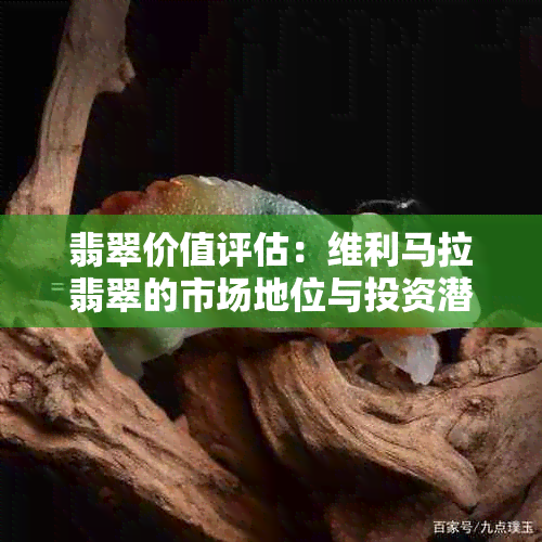 翡翠价值评估：维利马拉翡翠的市场地位与投资潜力分析