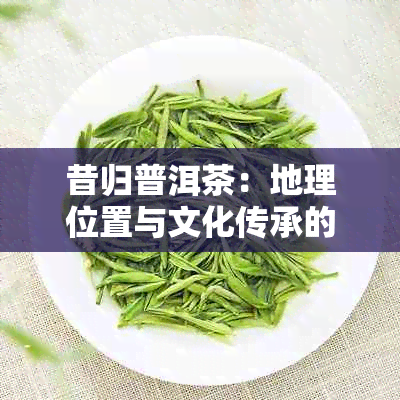 昔归普洱茶：地理位置与文化传承的深度解析