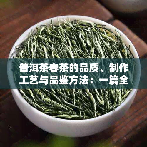 普洱茶春茶的品质、制作工艺与品鉴方法：一篇全面了解普洱茶春茶的文章