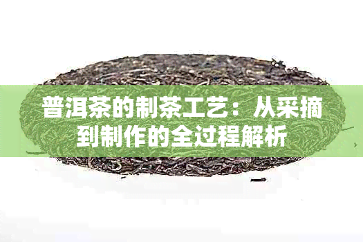 普洱茶的制茶工艺：从采摘到制作的全过程解析