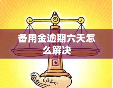 备用金逾期六天怎么解决