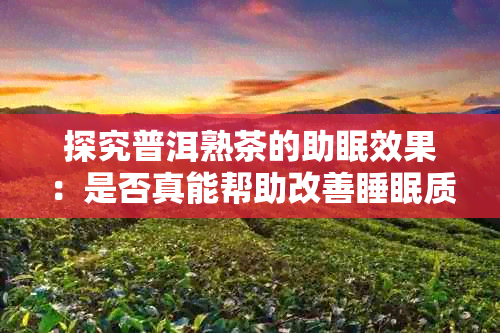 探究普洱熟茶的助眠效果：是否真能帮助改善睡眠质量？