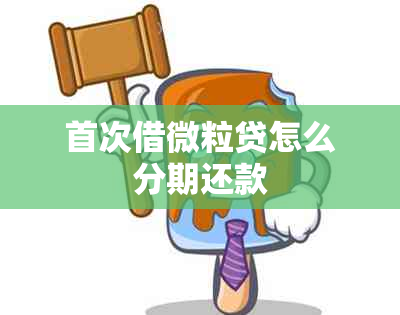 首次借微粒贷怎么分期还款