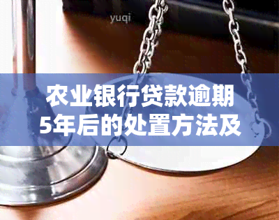 农业银行贷款逾期5年后的处置方法及后果