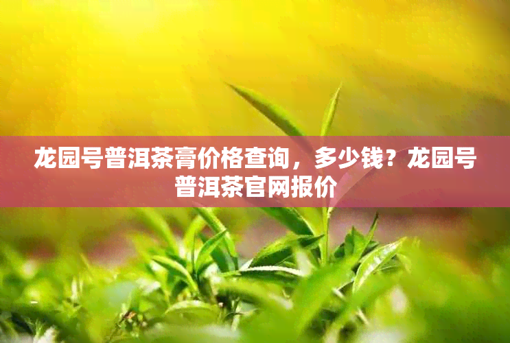 龙园号普洱茶膏价格查询，多少钱？龙园号普洱茶官网报价