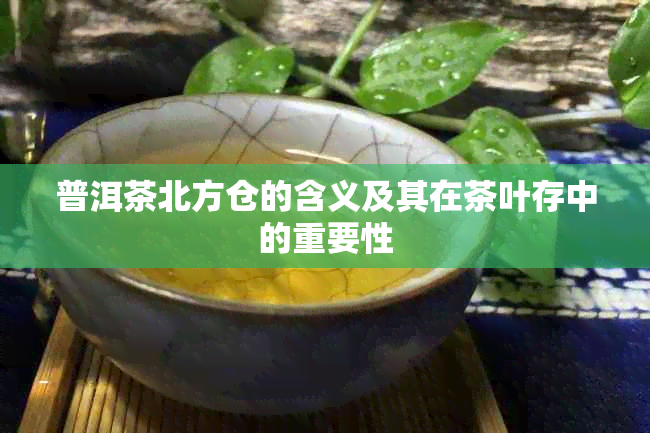 普洱茶北方仓的含义及其在茶叶存中的重要性