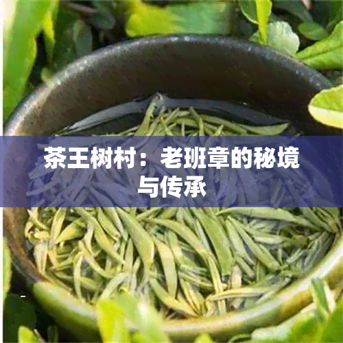 茶王树村：老班章的秘境与传承