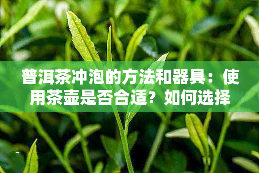 普洱茶冲泡的方法和器具：使用茶壶是否合适？如何选择合适的茶壶？