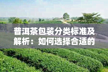 普洱茶包装分类标准及解析：如何选择合适的包装方式？