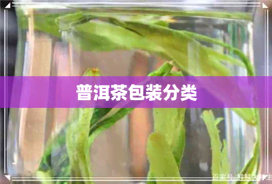 普洱茶包装分类