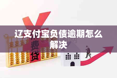 辽支付宝负债逾期怎么解决