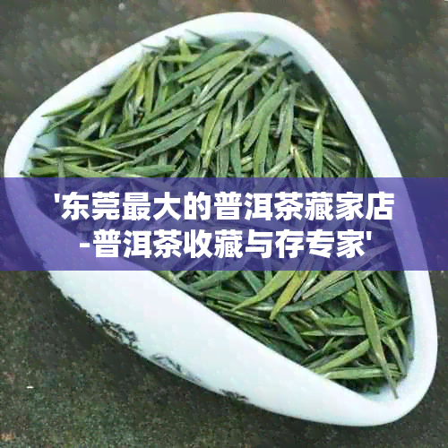 '东莞更大的普洱茶藏家店-普洱茶收藏与存专家'