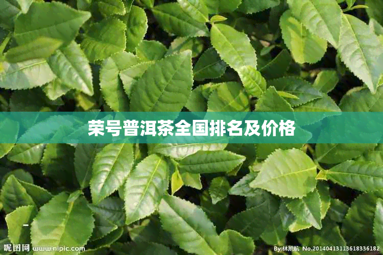 荣号普洱茶全国排名及价格