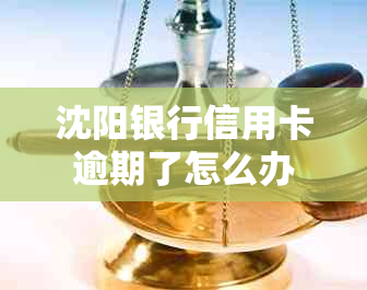 沈阳银行信用卡逾期了怎么办