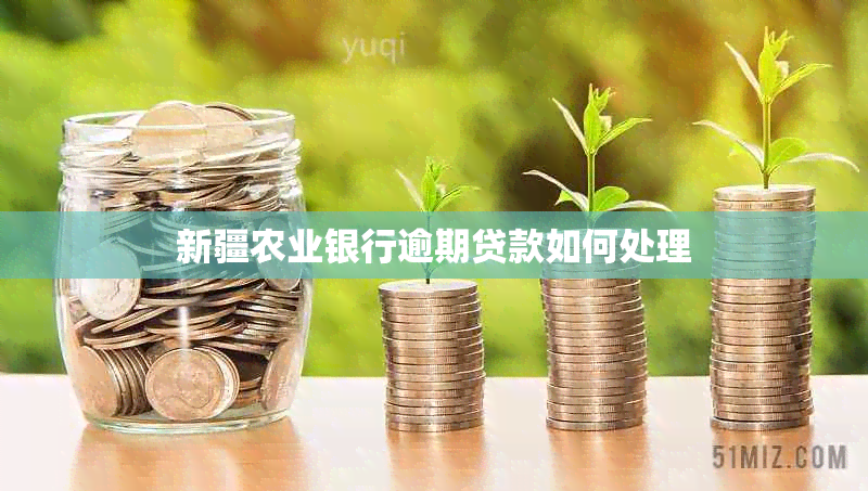 新疆农业银行逾期贷款如何处理