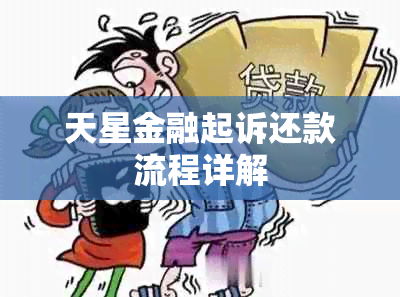 天星金融起诉还款流程详解