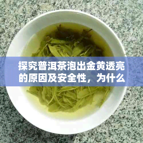 探究普洱茶泡出金黄透亮的原因及安全性，为什么这种颜色的茶能喝？