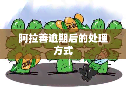 阿拉善逾期后的处理方式