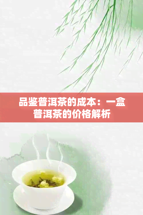 品鉴普洱茶的成本：一盒普洱茶的价格解析