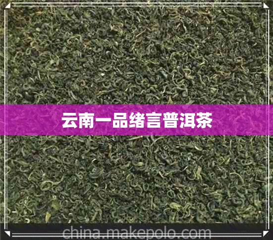 云南一品绪言普洱茶