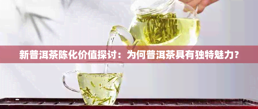 新普洱茶陈化价值探讨：为何普洱茶具有独特魅力？