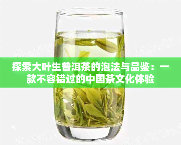 探索大叶生普洱茶的泡法与品鉴：一款不容错过的中国茶文化体验